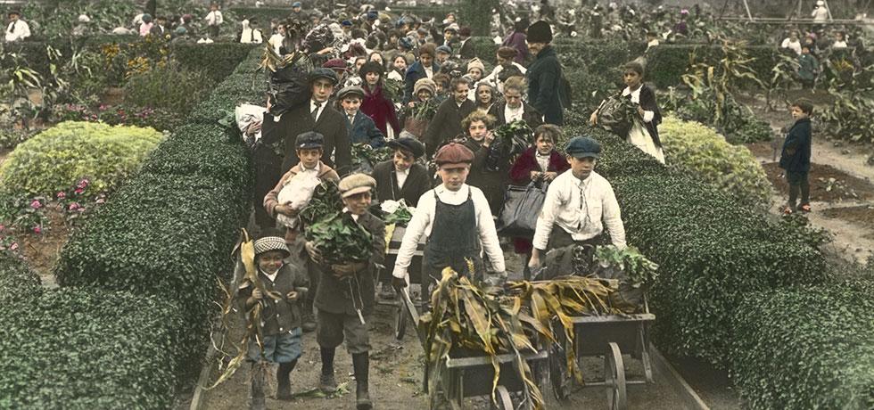 Image. Children taking home produce; hedges. Jefferson Park Gardens, New York, (1916)